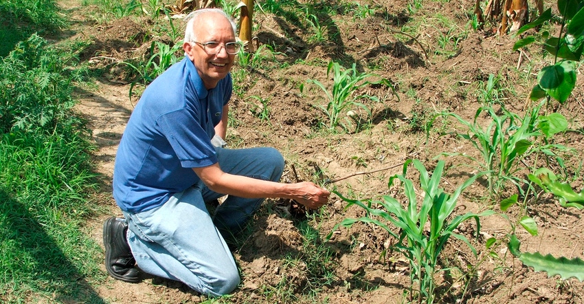 Scientist Rattan Lal in a cornfield