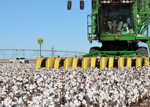 cotton harvest Huguley 18 (17 of 111).jpg