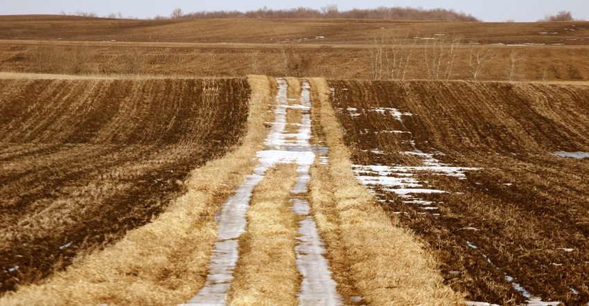 grass road through harvested fields