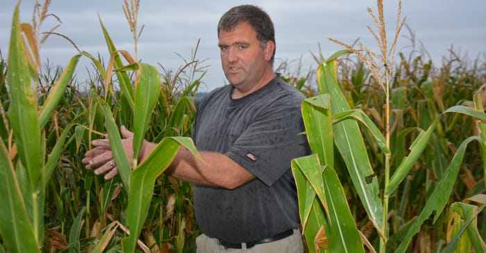 Ben Peckman in 60-inch corn plots