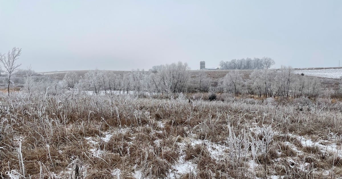 Minnesota February Minnesota’s driest February occurred 55 years ago