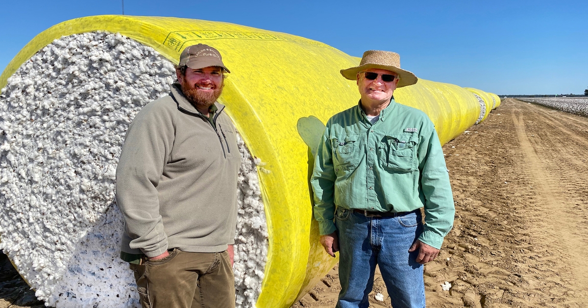 Arkansas Cotton Sustainability Field Day to be held on July 30