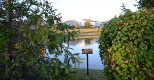 view of subdivision and pond through bushes