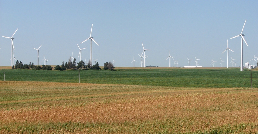 wind turbines i field