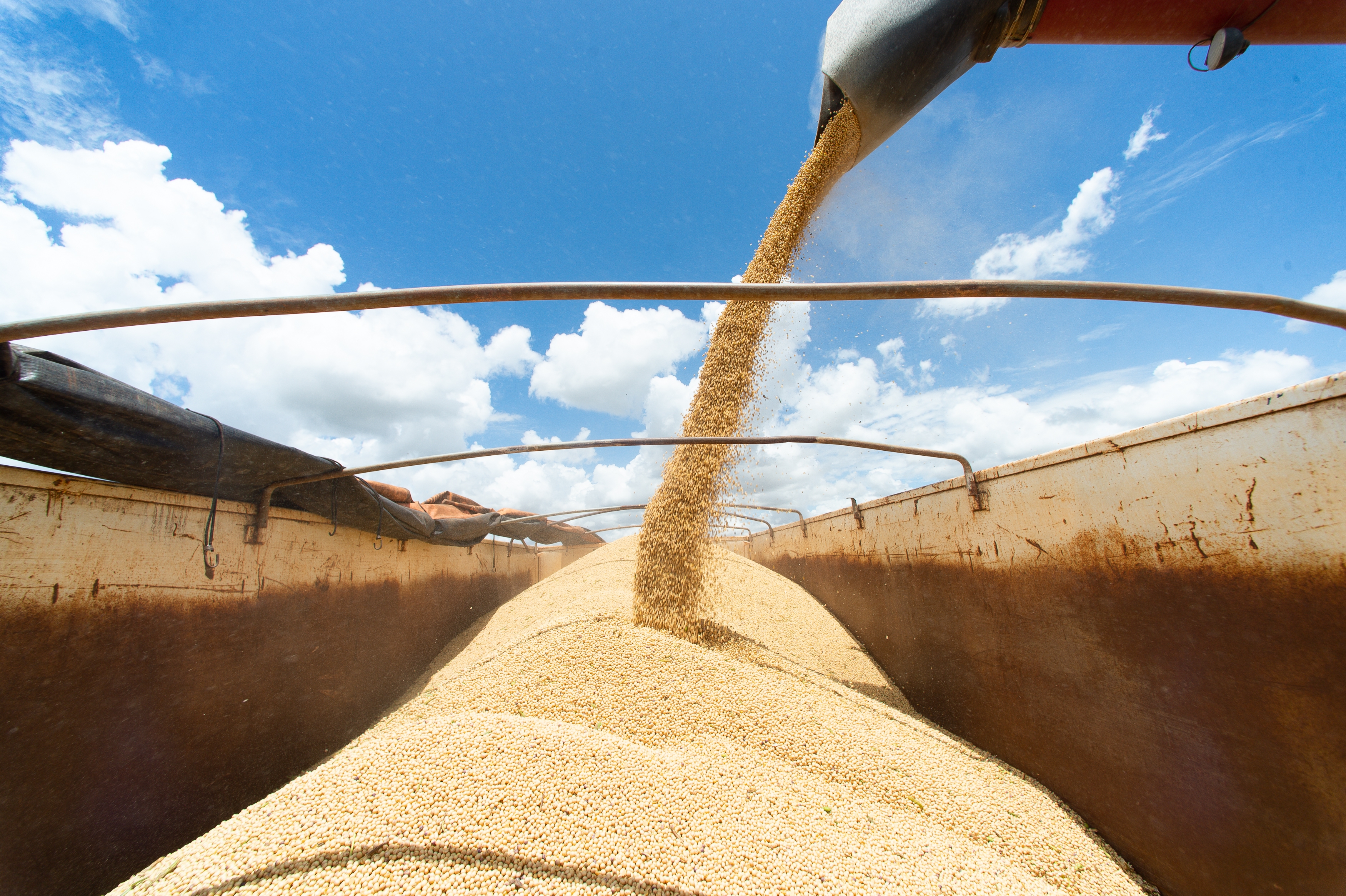 Trump trade war to hurt farmers as China turns to Brazil