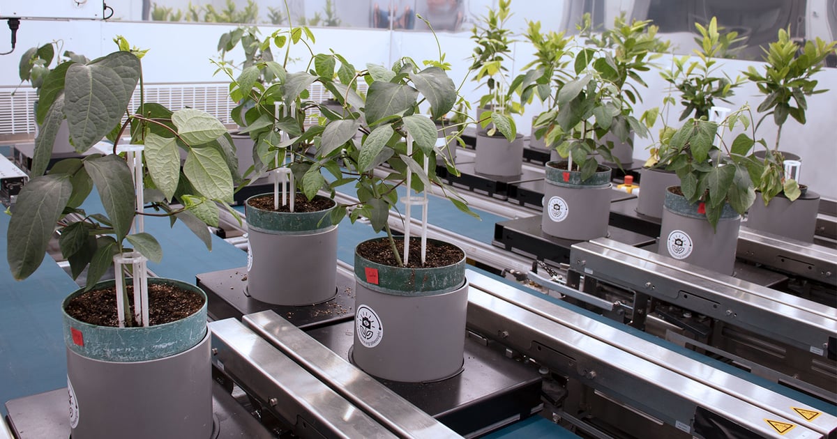 Labot Plant New lab could speed up plant discoveries