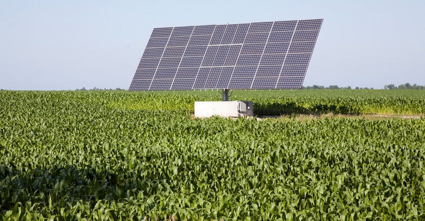 large solar panel in cornfield