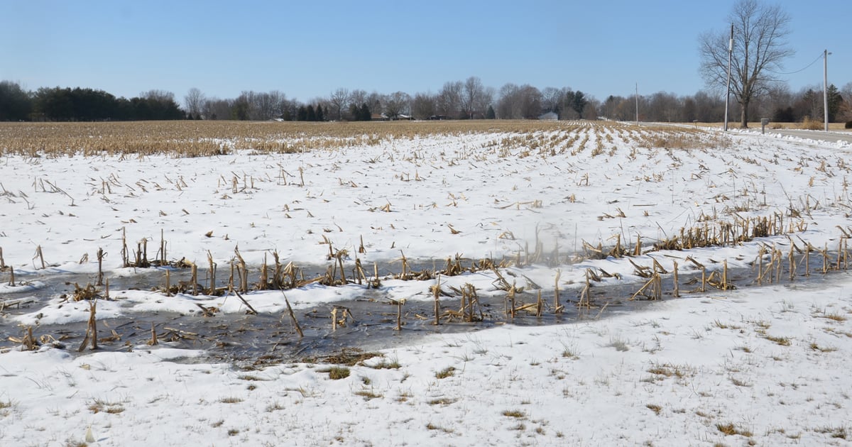 Recent Indiana land sales show strength