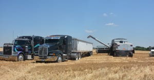 A combine pulls away after unloading into a semi on June 18