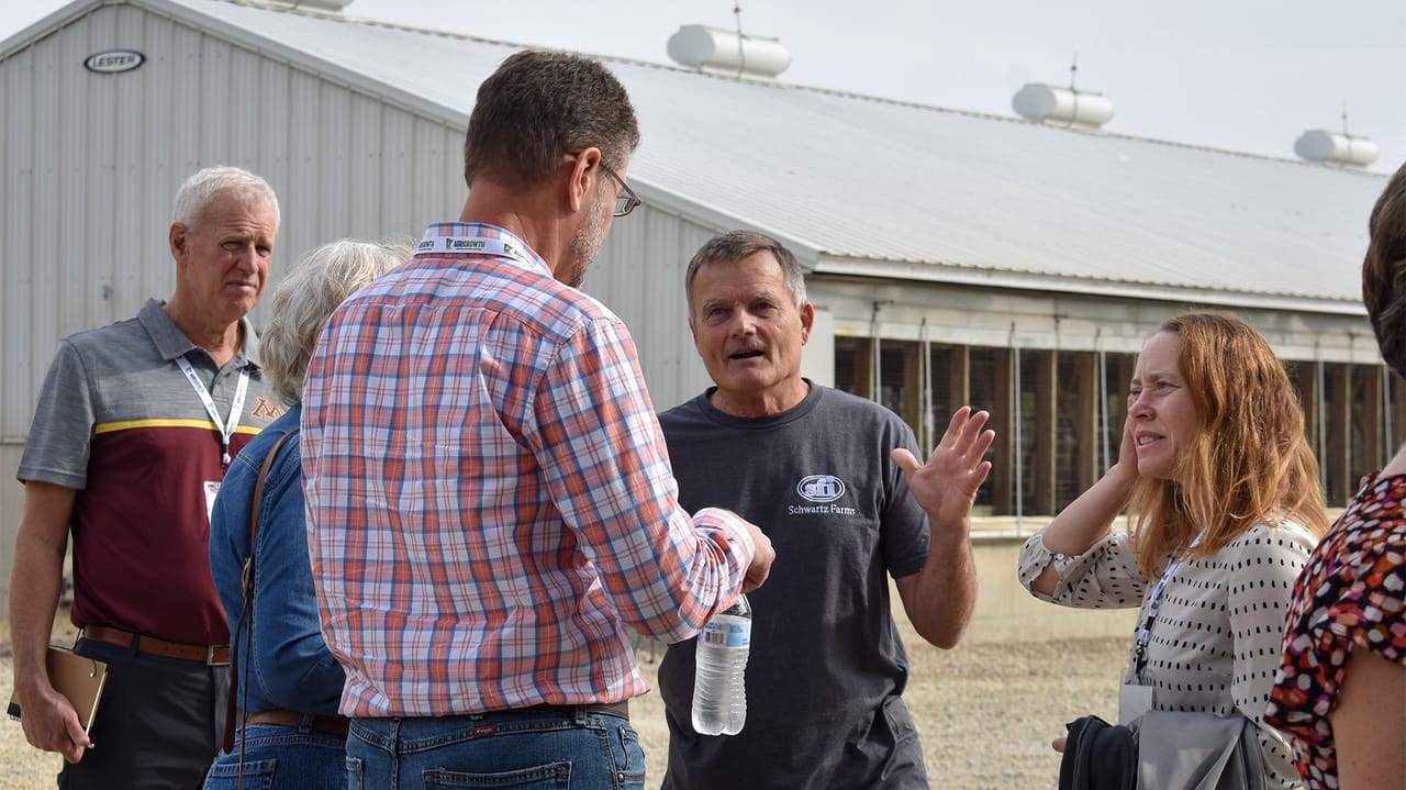 Feral hogs: how quickly can they reproduce?