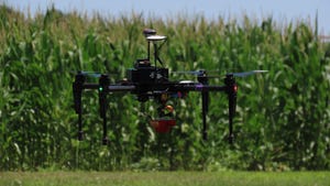 Drone in air with cornfield in background