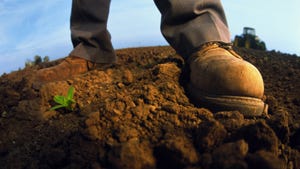 farmer boots standing on soil