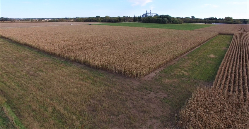Mower SWCD drone image shows the 8-acre site