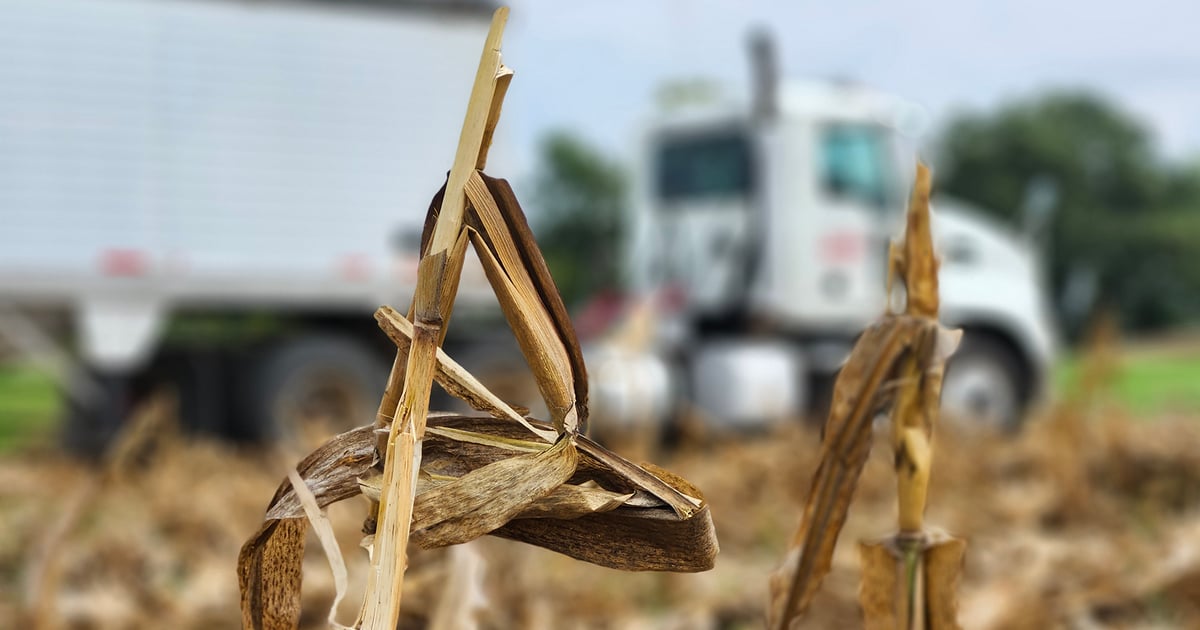 Fall Field Work October harvest complete as fall field work begins