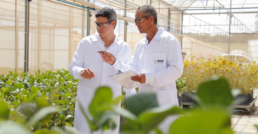 BASF researchers inside greenhouse BASF researchers inside greenhouse