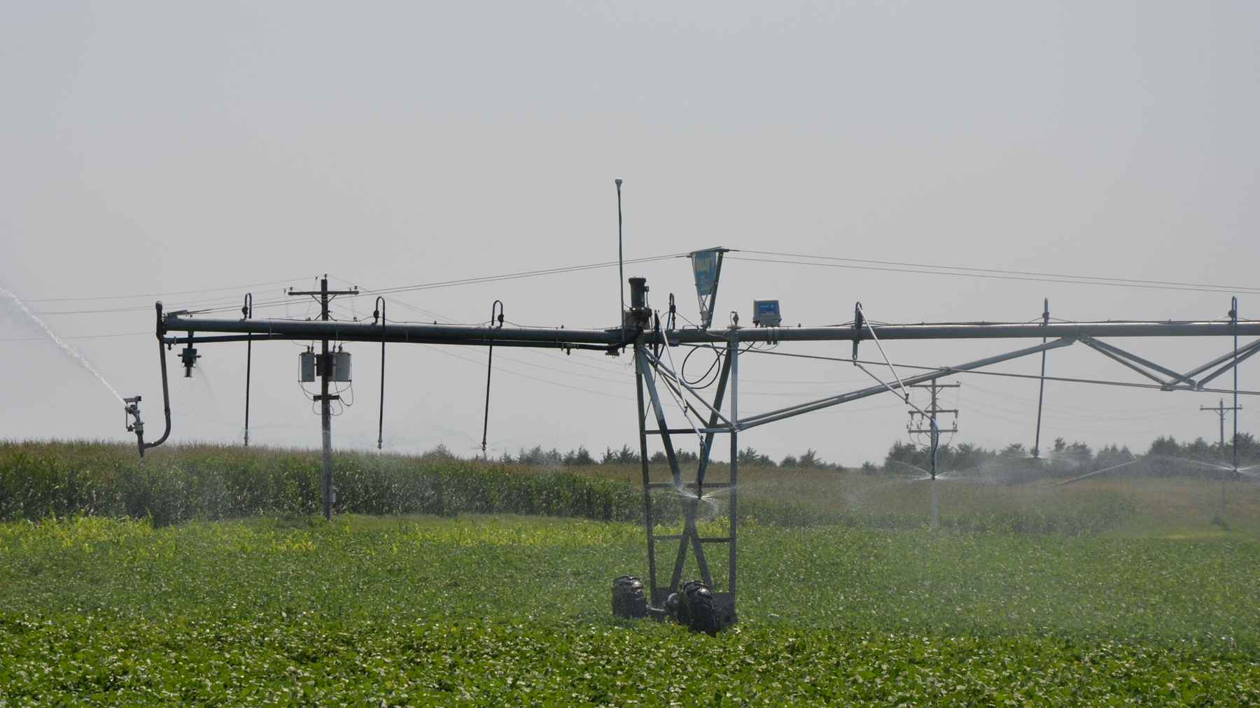How do you decide when to irrigate?