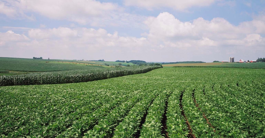 farm landscape with corn and beans