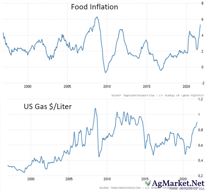 Food inflation and U.S. gas price over time