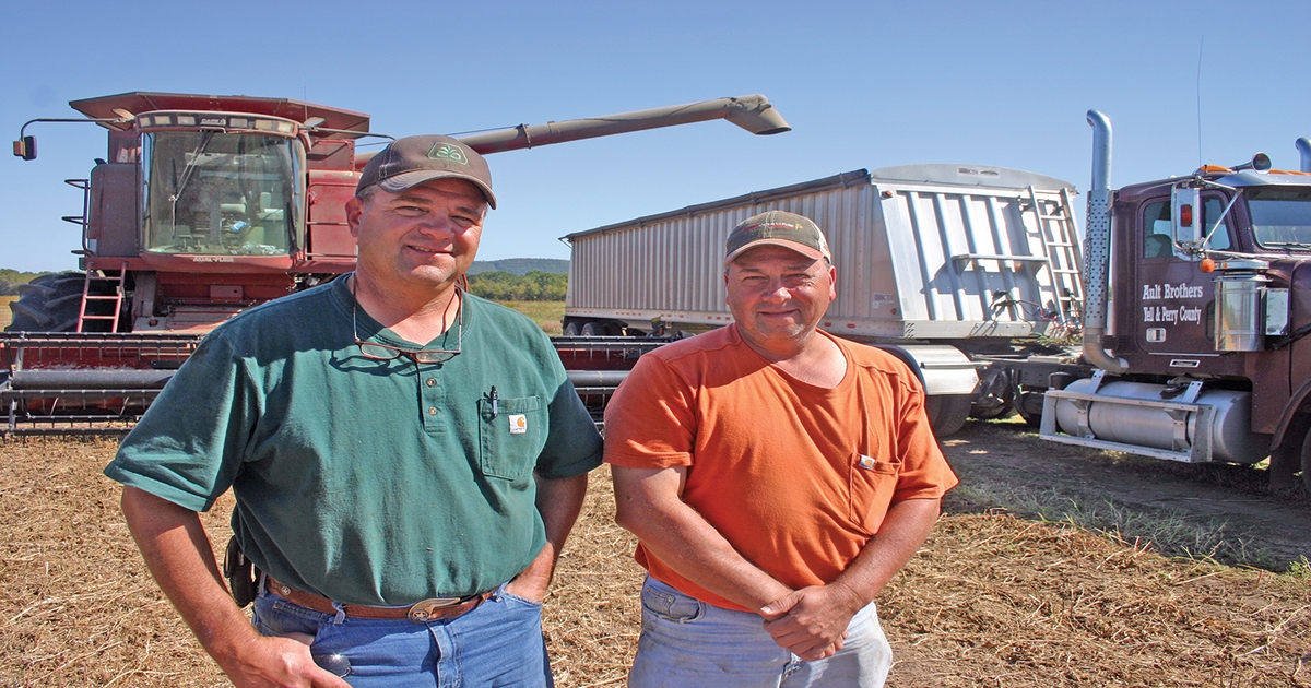 Ault brothers growing it from the ground up