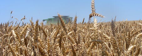 indiana_wheat_harvest_means_1_635397177884010599.JPG