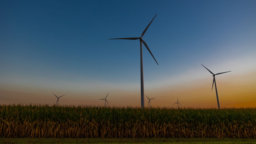 Wind turbines in cornfield