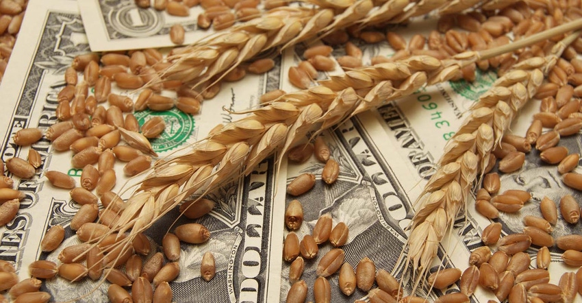 Getty head of wheat and kernels on US dollar bills