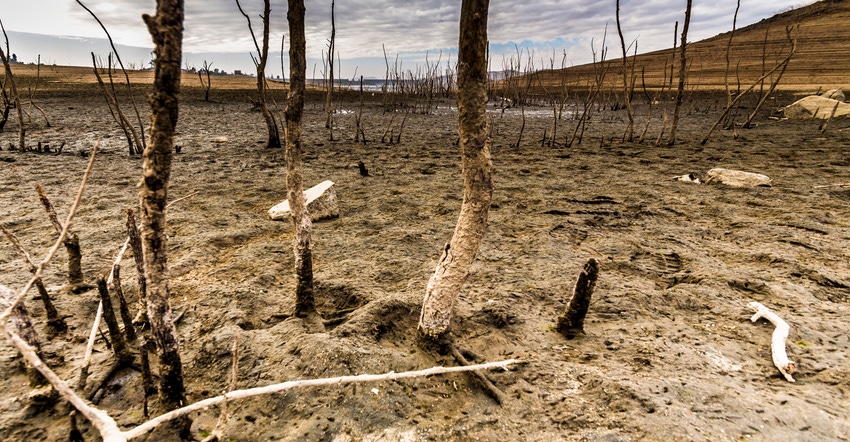 wfp-todd-fitchette-millerton-lake-7.jpg wfp-todd-fitchette-millerton-lake-7.jpg
