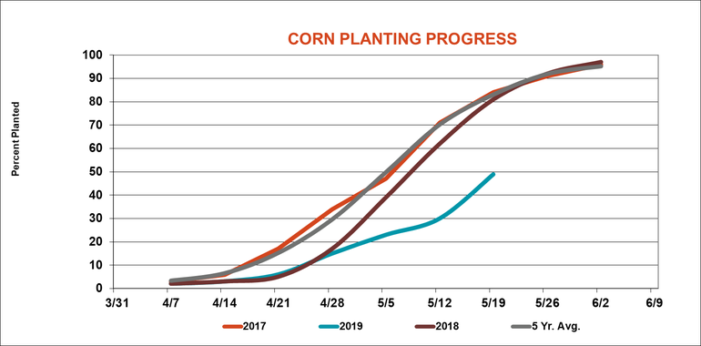 corn planting progress