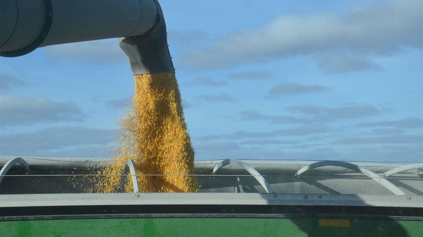 corn pouring from an auger into a grain cart