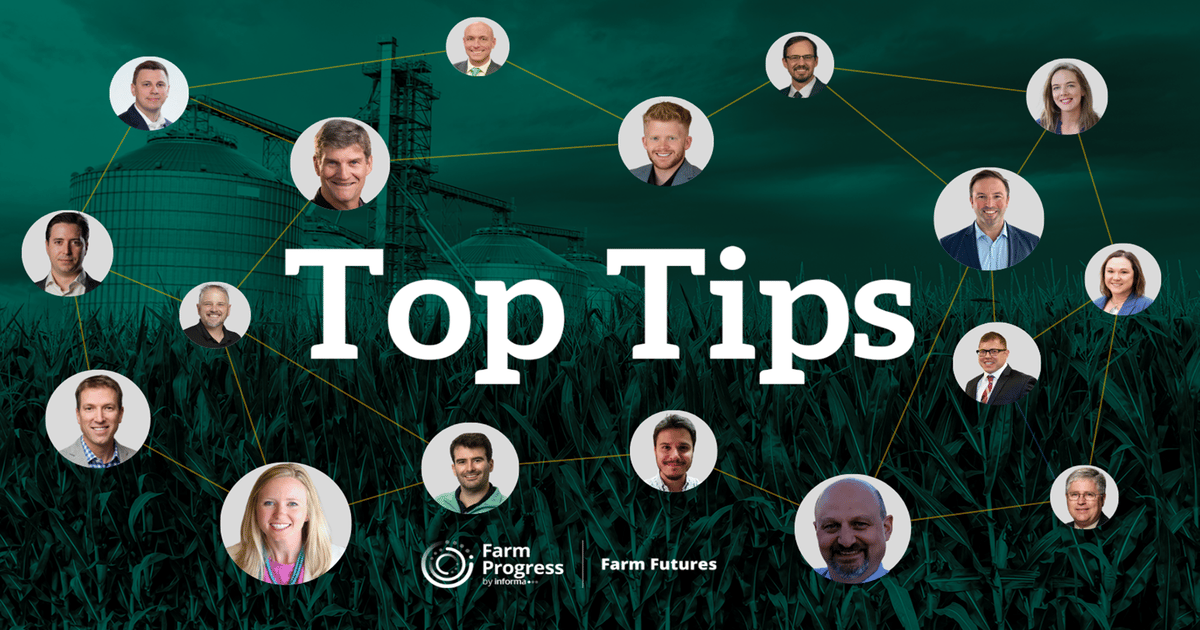 Top Tips: Here’s how farmers can reward the rally