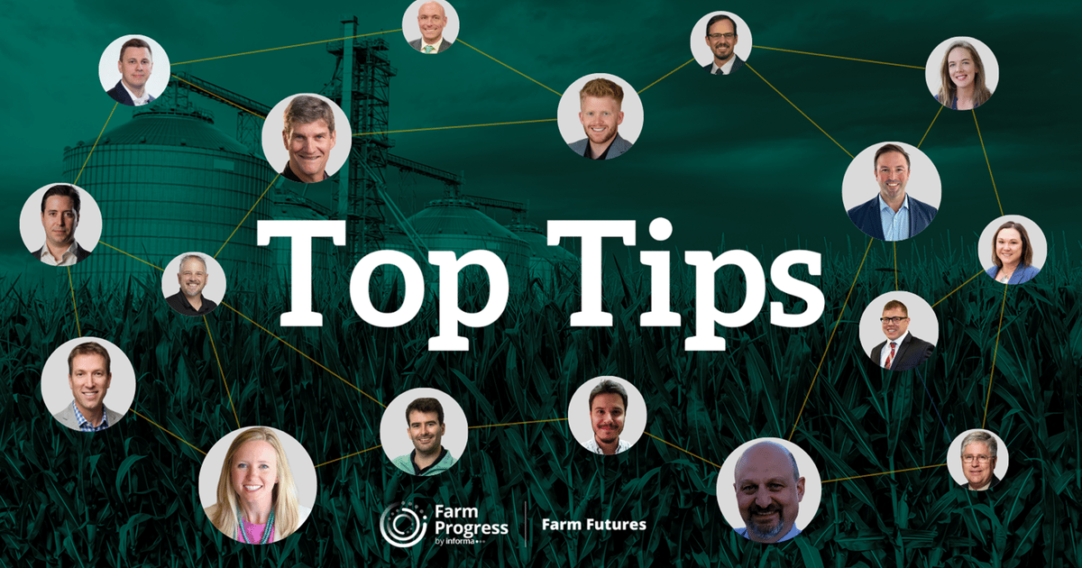 Top Tips: Here’s how farmers can reward the rally