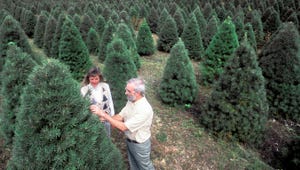 WFP-ARS-christmas-tree-farm.jpg