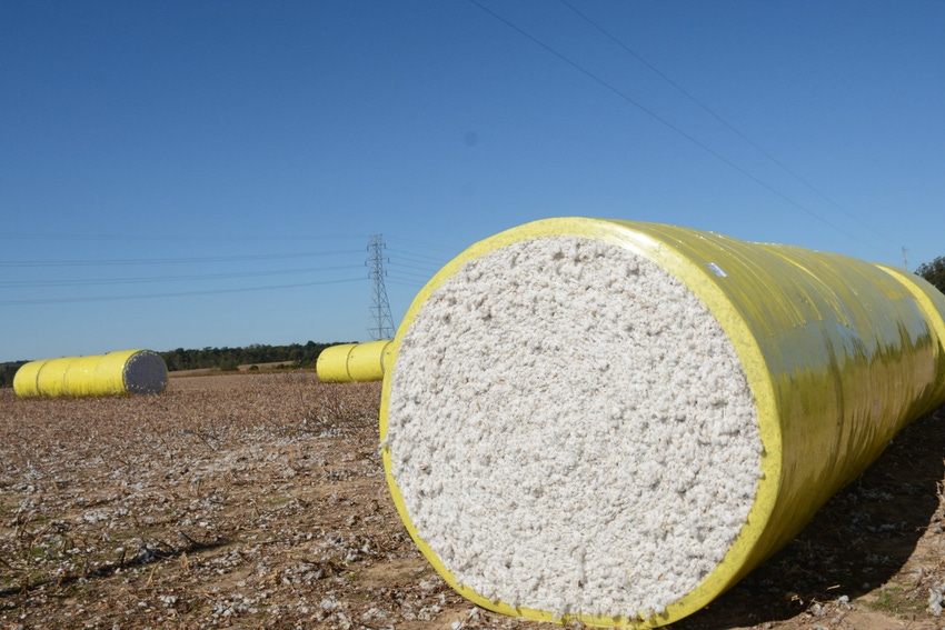 Cotton_Ginner_Cotton_Producer_of_Year.jpg Cotton_Ginner_Cotton_Producer_of_Year.jpg