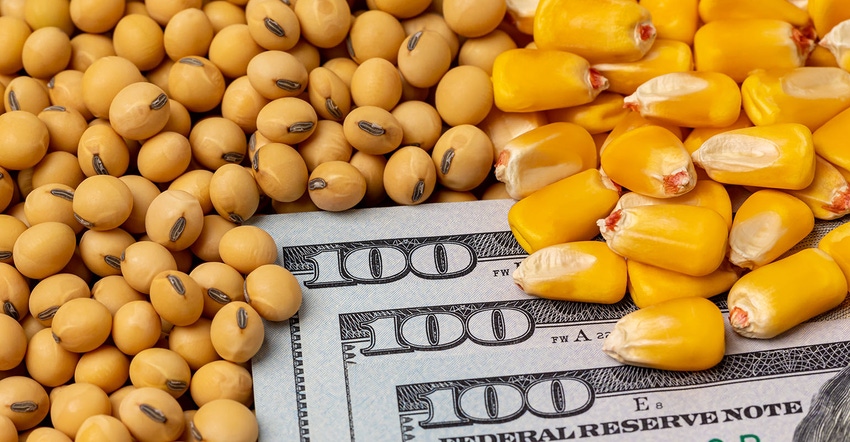 Soybeans and corn kernels with cash money