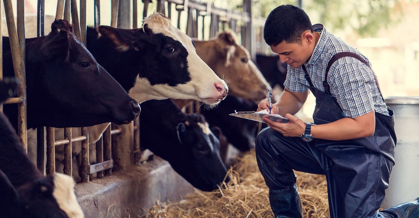 Farmer with clipboard kneeling by dairy cows in a barn.