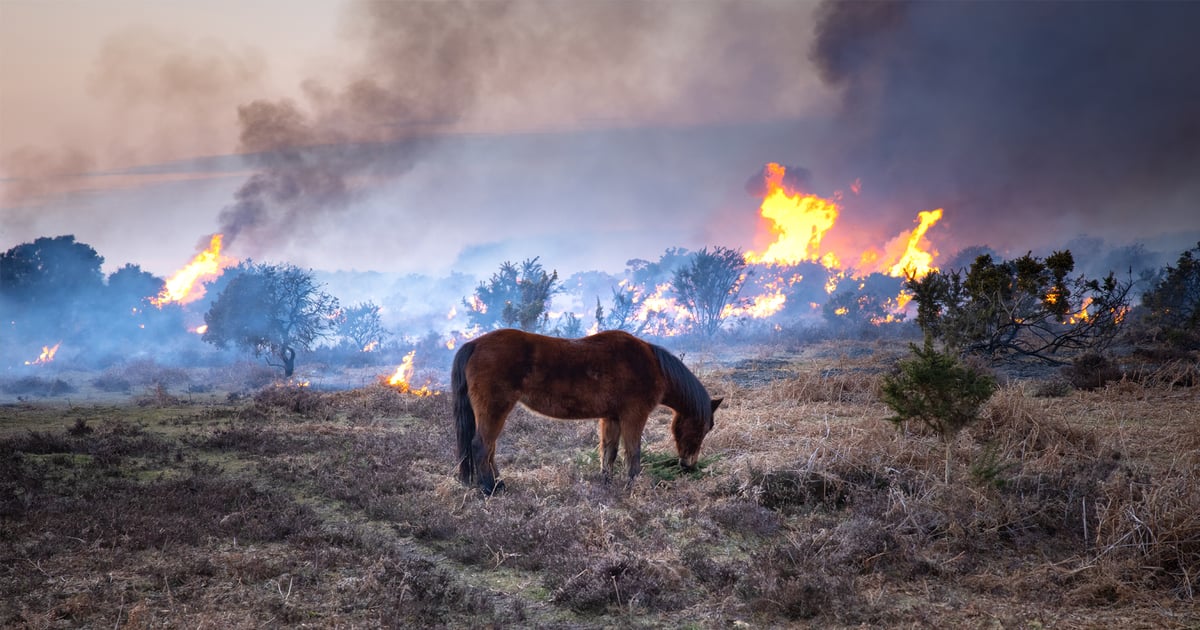 Prepare emergency plans before disaster strikes farm