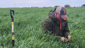 Jim Isermann in a field of cereal rye