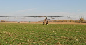 COver crops with pivot irrigation system
