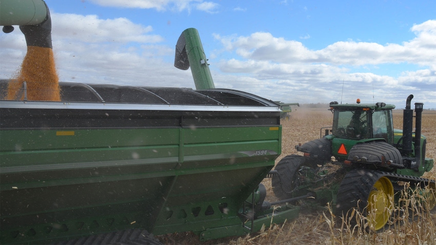 Crops being harvested in field