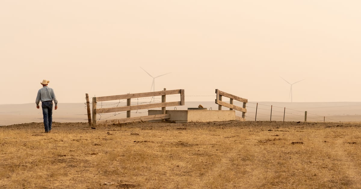 How to prepare for drought conditions
