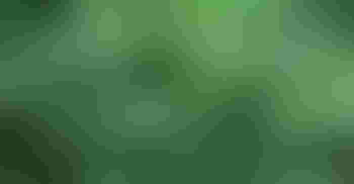 0720T2-1648B-1540x800.jpg 0720T2-1648B-1540x800.jpg