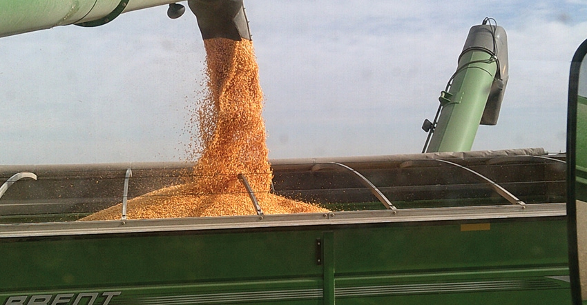 grain pouring out