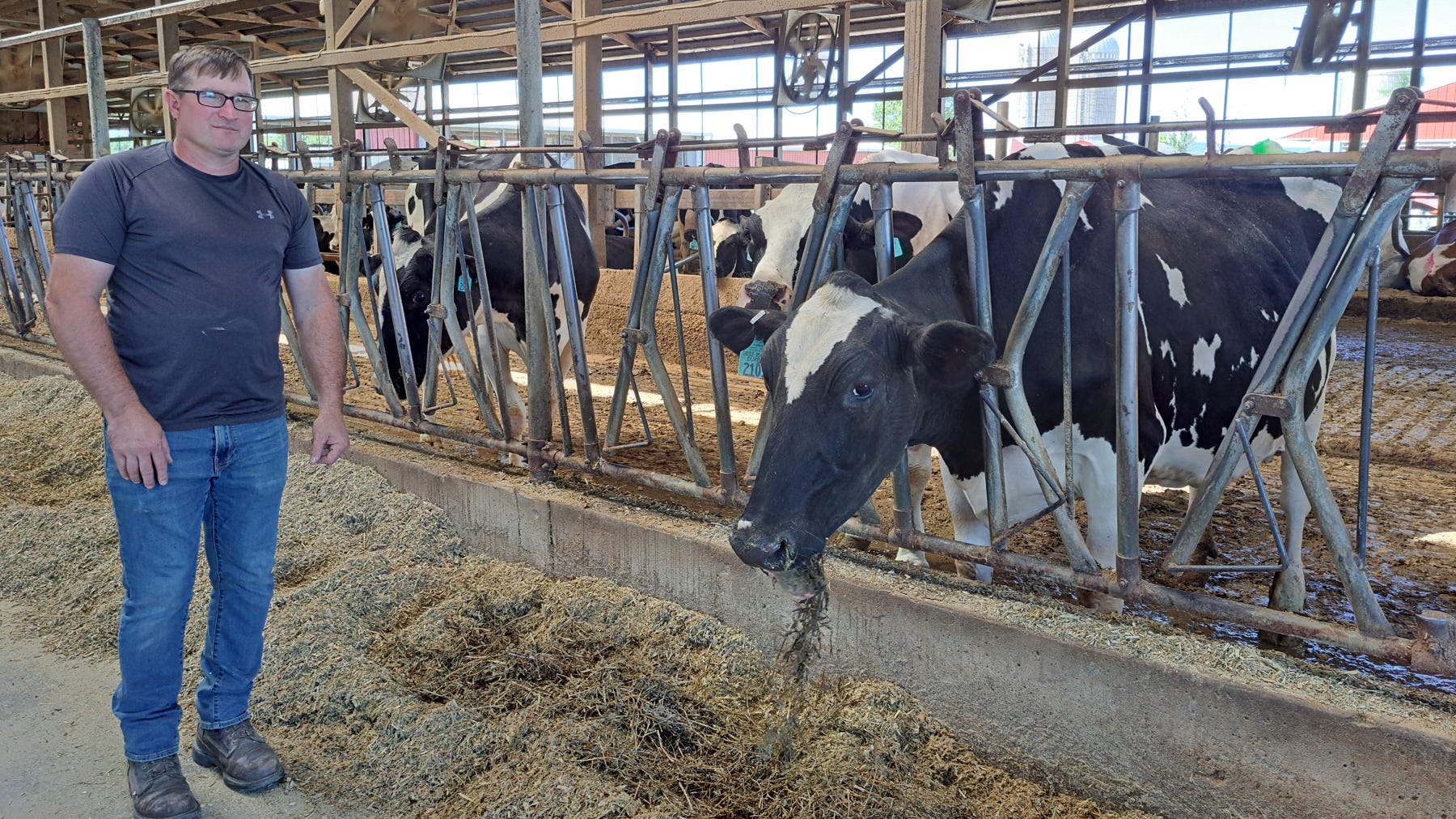 Craig Carncross stands with Holstein cows in a barn