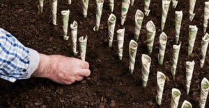 hand planting money into soil