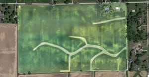 drone image of cornfield