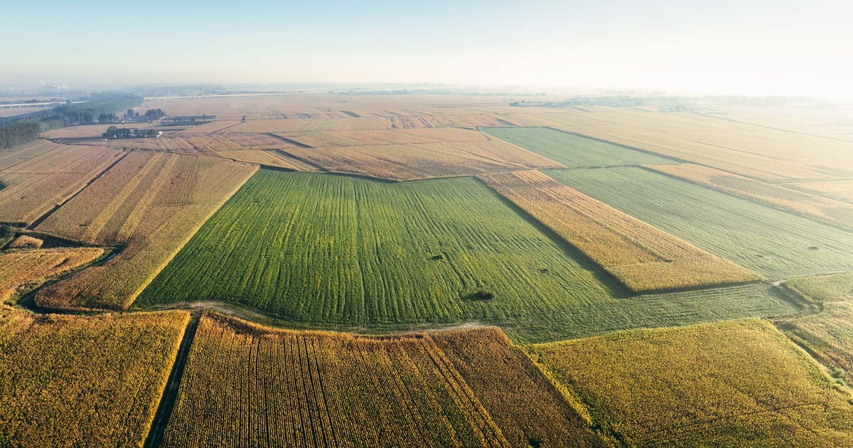 USDA Acreage report caps corn-vs.-beans guessing game