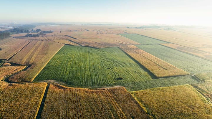 USDA Acreage report caps corn-vs.-beans guessing game
