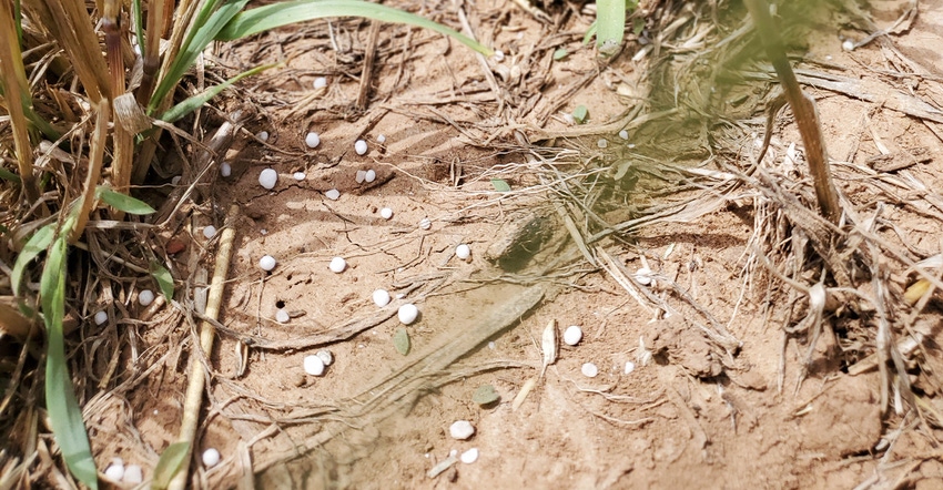 swfp-shelley-huguley-fertilizer-web.jpg swfp-shelley-huguley-fertilizer-web.jpg
