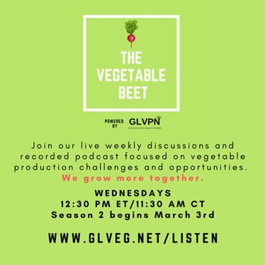 THE VEGETABLE BEET podcast