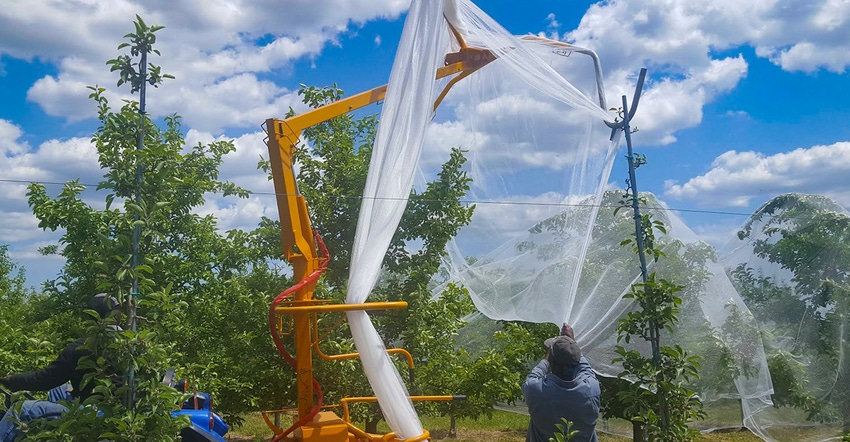Employees at a Clinton County orchard install hail netting to a row of apple trees